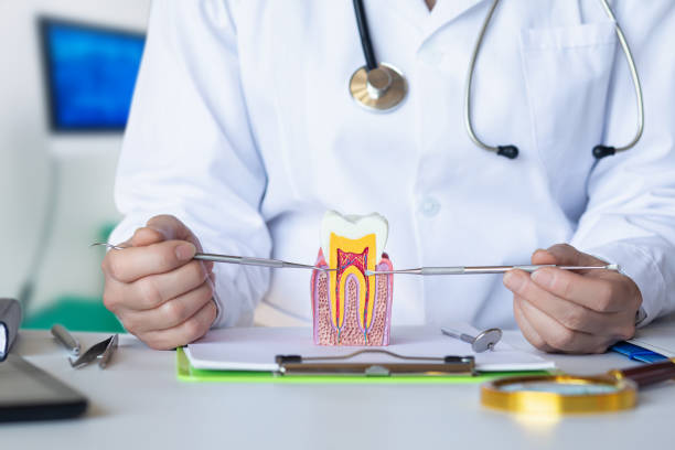 Best Emergency Dental Surgery in Montgomery, OH